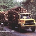 DAF-2800