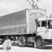 DAF-2600