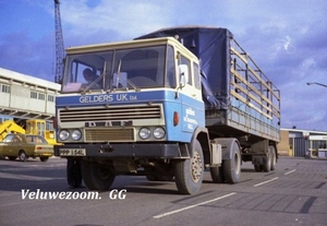 DAF-2600