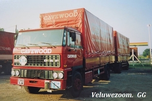 DAF-2800