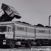 DAF-2800