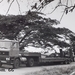 DAF-2800