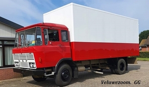 DAF-2600.