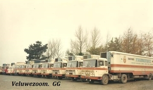 DAF-2600