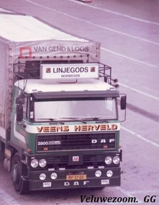 DAF-2800