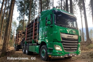 DAF-XF