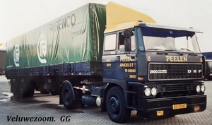 DAF-2800