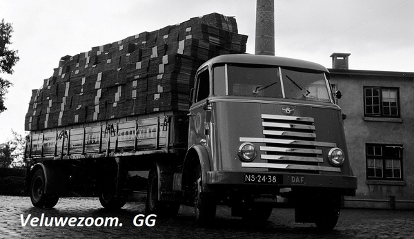 DAF-7Streper