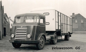 DAF-7Streper