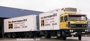 DAF-3300