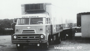 DAF-2000DO