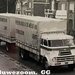 DAF-2000DO