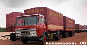 DAF-2600