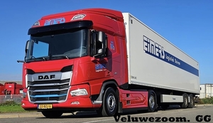 DAF-XD