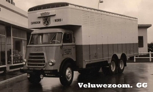 DAF-1800