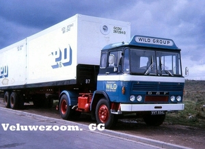 DAF-2600.