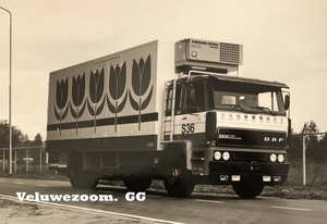 DAF-2500.