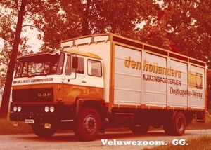 DAF-2000,