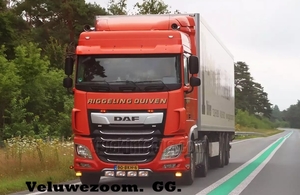 DAF-105