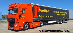 DAF-105.