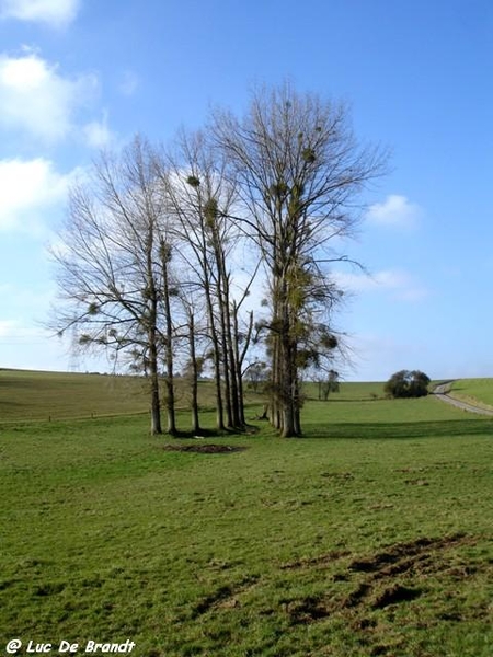 marche Adeps wandeling Hulsonniaux Ardennen