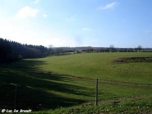 2011_03_06 Hulsonniaux 08