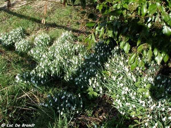 marche Adeps wandeling Hulsonniaux Ardennen