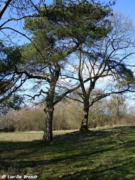 marche Adeps wandeling Hulsonniaux Ardennen