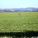 2011_03_06 Hulsonniaux 53