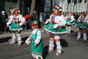 014  Aalst Carnaval  maart  2011