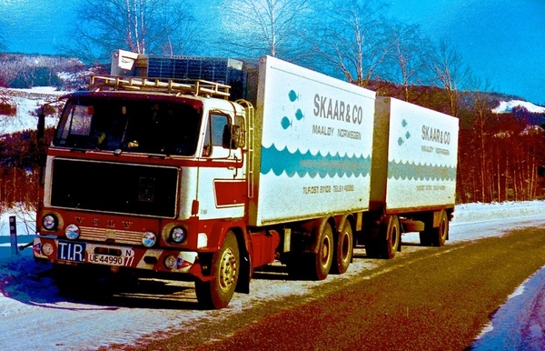 VOLVO-F89 SKAAR&CO
