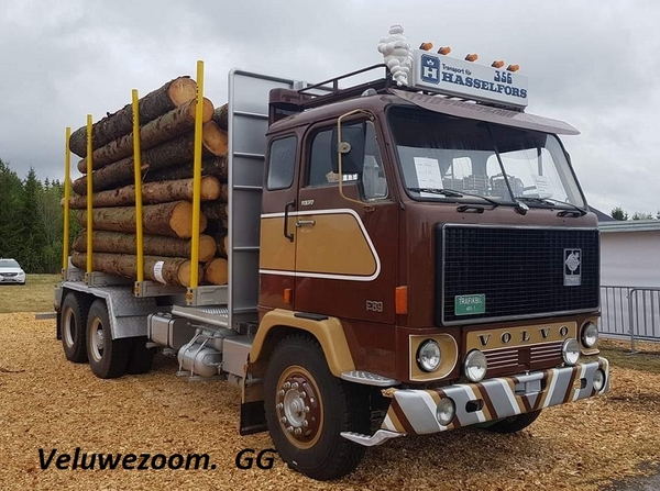 VOLVO-F89.