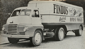 BEDFORD FINDUS (S)