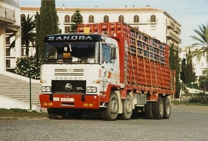 Pegaso- 8X4 SANDRA (SP)