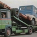 BERLIET HODLMAYR (A)