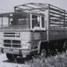 PEGASO (SP)