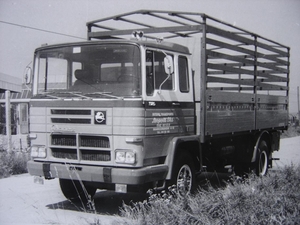 PEGASO (SP)