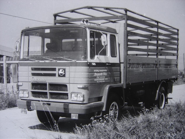 PEGASO (SP)