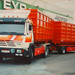 STEYR