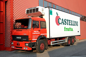 FIAT CASTELLINI (I)