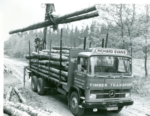 MERCEDES-BENZ TIMBER TRANSPORT