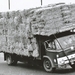 Ford-D