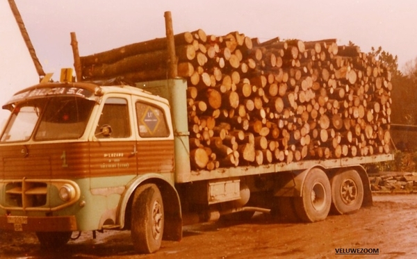 PEGASO