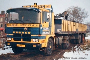 PEGASO-TIELBEKE LEMELERVELD