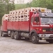 MERCEDES-BENZ-NG2238.