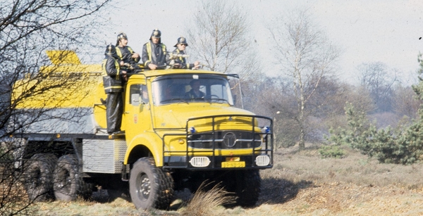 TERBERG  BRANWEER VELP (GLD)