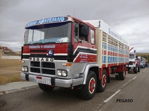 PEGASO