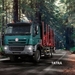 TATRA