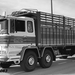 PEGASO-1083