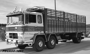 PEGASO-1083